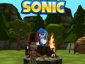 Mchezo Sonic Shujaa Kimbia 3D online