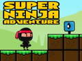 Mchezo Super Adventure Ninja online