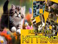 Mchezo Puzzle Linyar Kittens online