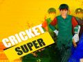 Mchezo Kricket Bora online