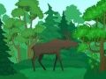 Mchezo Kujaji Wanyama Wanawild online