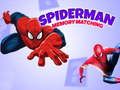 Mchezo Mchezo wa Kumbukumbu wa Spiderman online