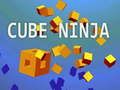Mchezo Ninja wa Kcube online