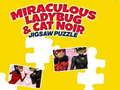 Mchezo Miraculous Ladybug & Cat Noir: Picha online