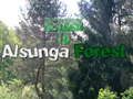 Mchezo Kurudi katika Msitu wa Alsunga online