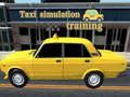 Mchezo Kuzoeza Simuleringi ya Taxi online