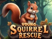 Mchezo Wokovu wa vijana wa squirrel online