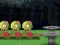 Mchezo Zombie Tug of War online
