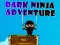 Mchezo Adventure ya Ninja wa Giza online