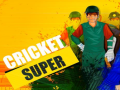 Mchezo Kricket Bora online