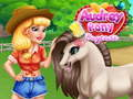 Mchezo Usimamizi wa Pony Audrey online