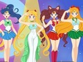 Mchezo Mwandishi wa Wahusika wa Sailor Moon online