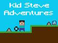 Mchezo Madhara ya Kid Steve online