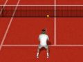 Mchezo Tennis Halisi online