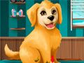 Mchezo Kuwa groomer wa mbwa wadogo online
