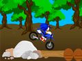 Mchezo Mashindano ya Cross Sonic online