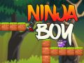 Mchezo Mvulana Ninja online