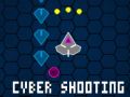 Mchezo Cyber Risasi online