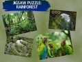 Mchezo Puzzle Msitu wa mvua online