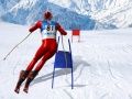 Mchezo Simu ya Ski Slalom online