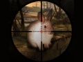 Mchezo Winda Klasiki wa Sungura Sniper 2019 online