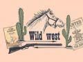 Mchezo Kumbukumbu ya Wild Wild West online
