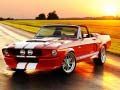 Mchezo Tofauti za Mustang ya Kijivuni online