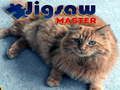 Mchezo Mwalimu wa Puzzles online