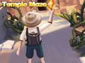 Mchezo Hekalu Labyrinth online