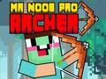 Mchezo Bwana Noob Pro Mwandani online