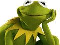 Mchezo Kitabu cha Rangi kwa Kermit Chura online
