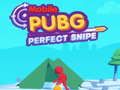 Mchezo Simu PUBG mkuki kamili online