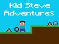 Mchezo Madhara ya Kid Steve online