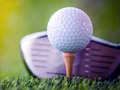 Mchezo Changamoto ya Golf Iliyounganishwa online