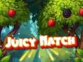 Mchezo Mechi ya Juicy online