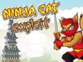 Mchezo Ninja Paka Kutumia online