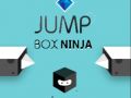 Mchezo Ninja Sanduku la Kuruka online