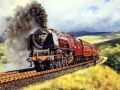 Mchezo Puzzle za Safari za Treni online