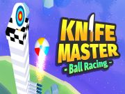 Mchezo Mwalimu wa Knife: Mashindano ya Mpira online