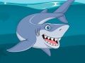 Mchezo Picha ya Shark online