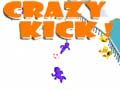 Mchezo Mpira wa Kichaa! online