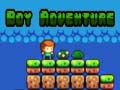 Mchezo Adventure ya Kijana online