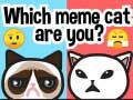 Mchezo Wewe ni paka wa meme gani? online