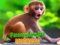 Mchezo Kiboko cha mtoto cha kuchekesha online Mchezo Kiboko cha mtoto cha kuchekesha online