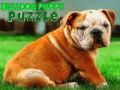 Mchezo Bulldog Puppy Puzzle online