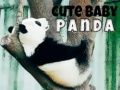 Mchezo Panda Mtoto Mrembo online