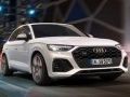 Mchezo Audi SQ5 TDI Kuanguka online