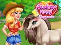 Mchezo Usimamizi wa Pony Audrey online