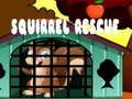 Mchezo Uokoaji wa Squirrel  online