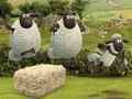 Mchezo Shaun Mchungaji: Michezo ya Kigeni online Mchezo Shaun Mchungaji: Michezo ya Kigeni online
